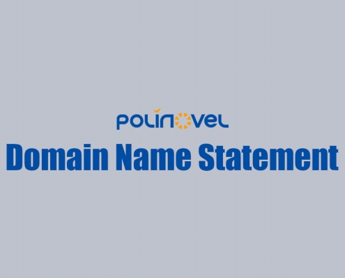 Polinovel Domain Name Statement