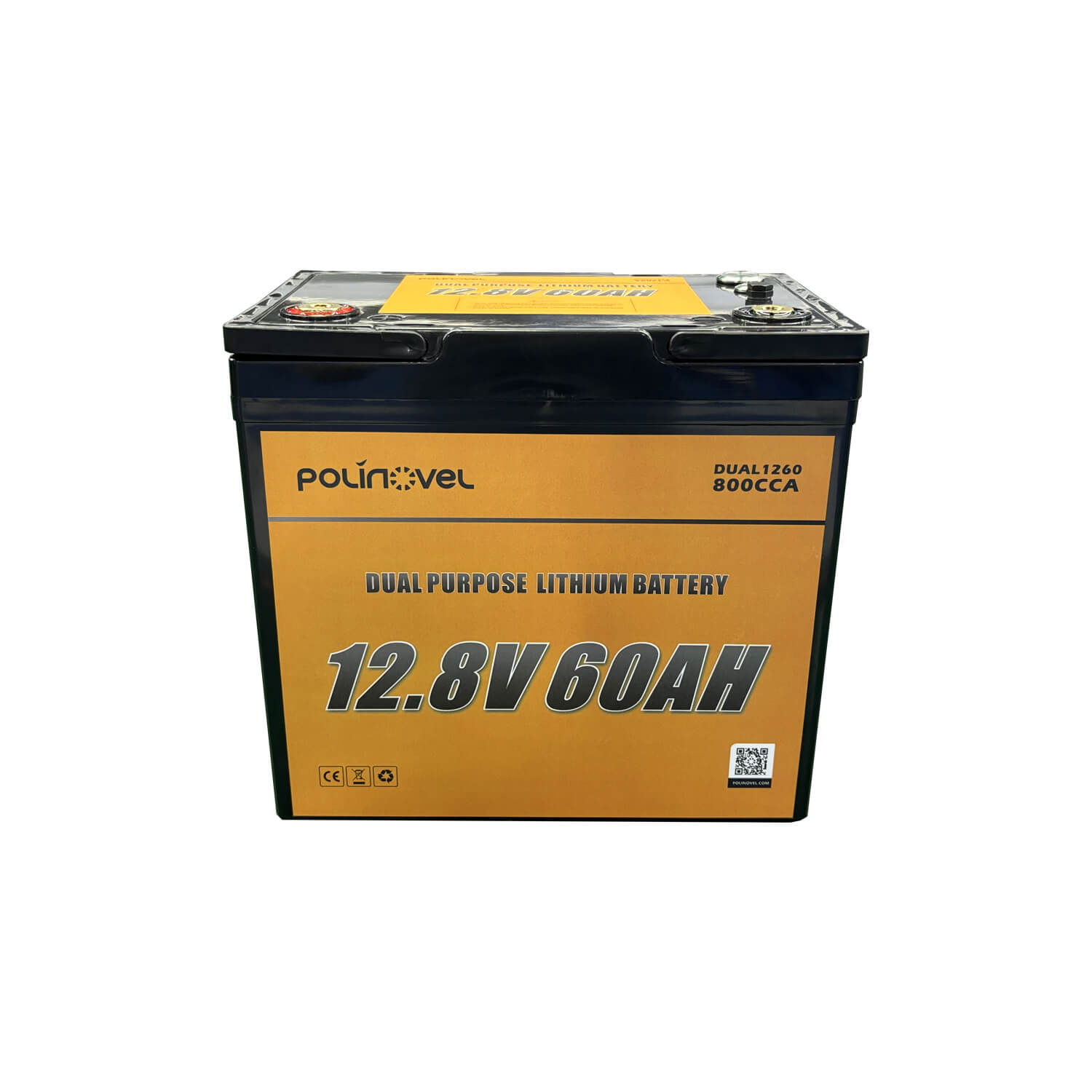 Polinovel 12V 60Ah Dual Purpose Lithium Battery with M8 Terminals