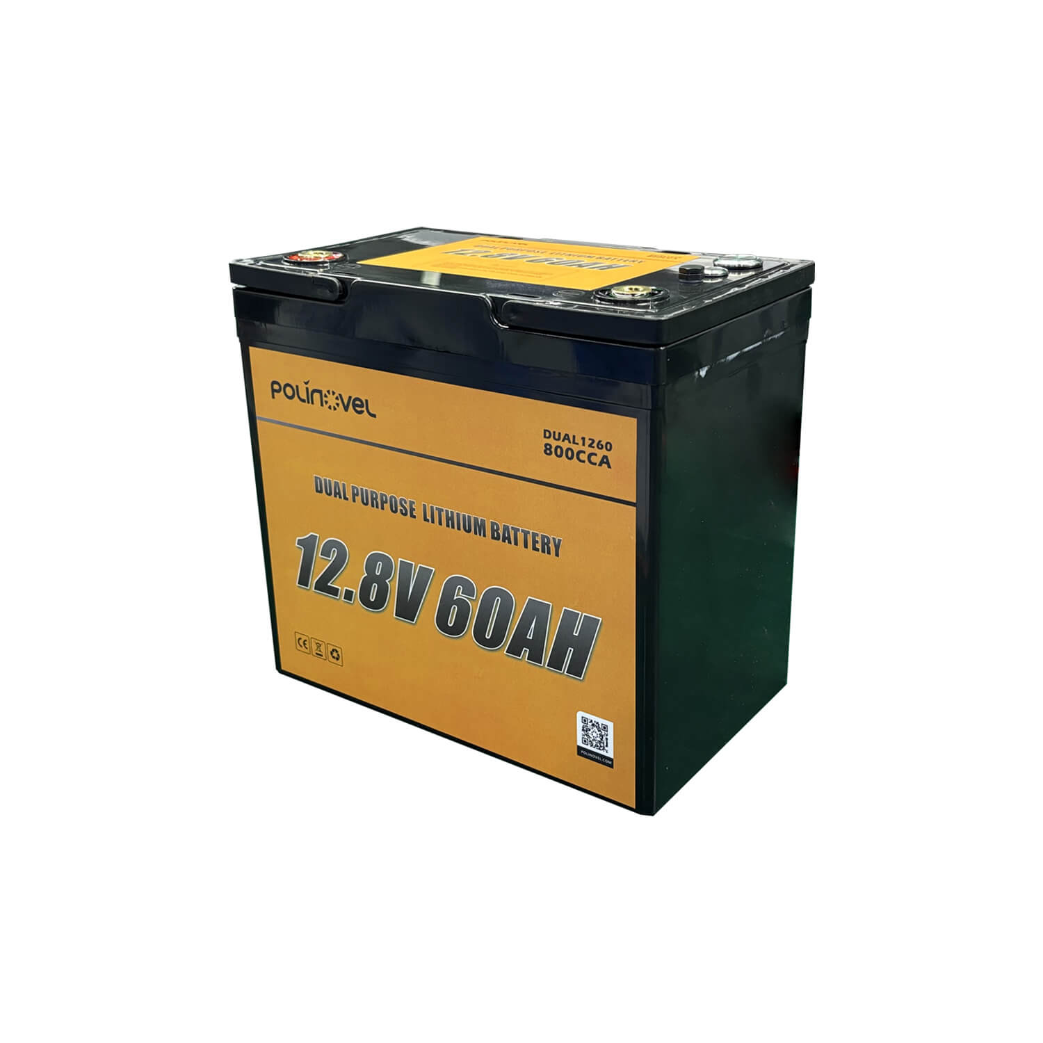 Polinovel 12V 60Ah Dual Purpose Lithium Battery with M8 Terminals